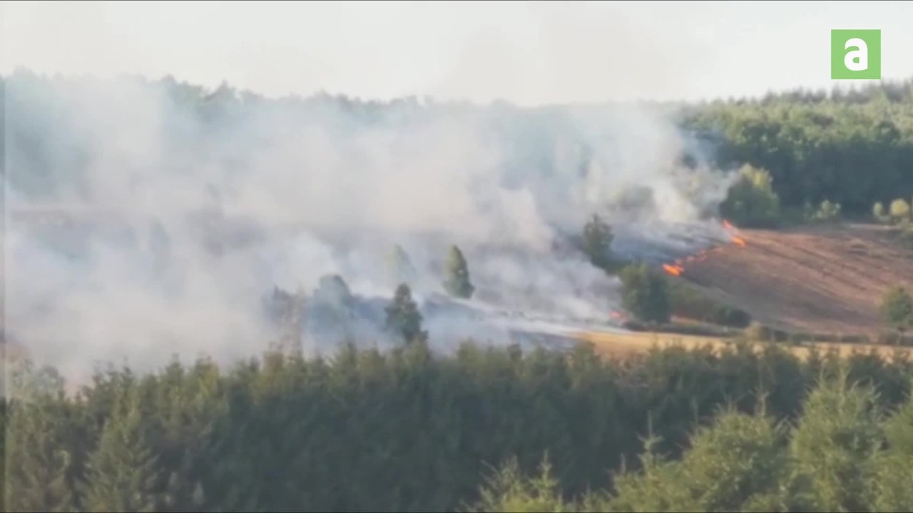 Feu Vaux complet