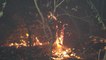 Balıkesir haberleri... BALIKESİR - Meyve bahçesinde çıkan yangın yerleşim yerlerine sıçramadan söndürüldü