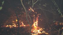 Balıkesir haberleri... BALIKESİR - Meyve bahçesinde çıkan yangın yerleşim yerlerine sıçramadan söndürüldü