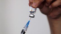 ¿La vacuna contra la viruela humana funciona contra la viruela del mono?