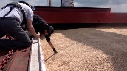 First Ukraine grain export refused by buyer, ship looking for another port to unload