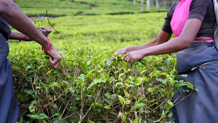 Pobreza laboral se redujo pese a inflación
