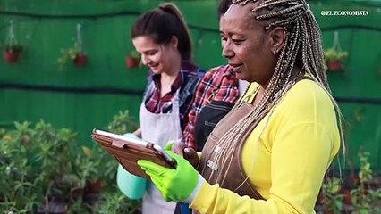 Mujeres invierten más en capacitación, pero enfrentan más desempleo