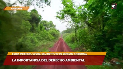 La importancia del derecho ambiental