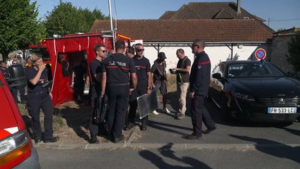 França inicia resgate de beluga no rio Sena