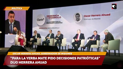 "Para la yerba mate pido decisiones patrióticas", dijo Herrera Ahuad