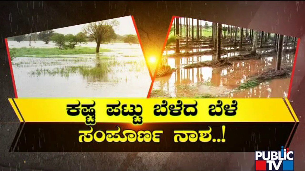 Crops Damaged By Heavy Rain In Several Districts Of Karnataka | Public TV