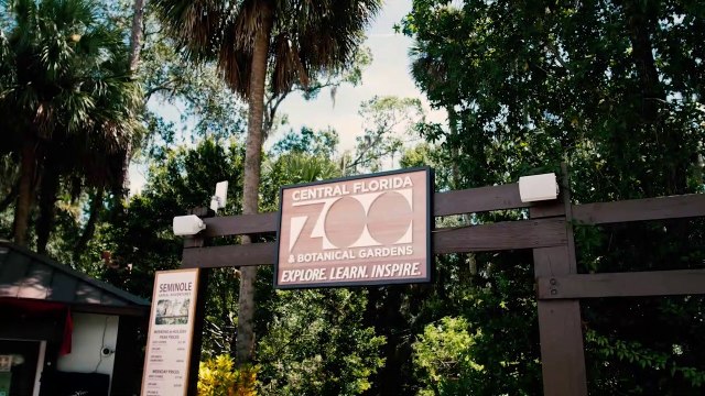Walking Tour of the Central Florida Zoo & Gardens (Sanford, Florida) - Travel Video & Review