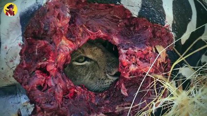 15 Animals Enjoying A Fresh And Tasty Lunch