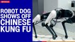 Robot dog shows off "Chinese Kung Fu" | The Nation