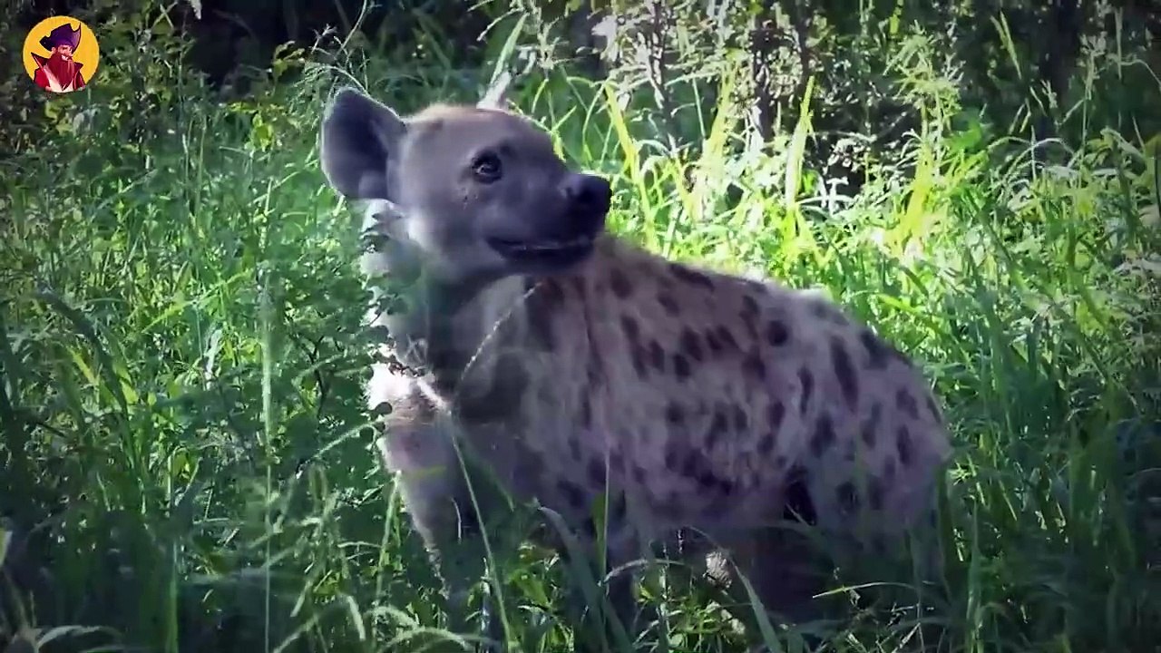 45 Heart Wrenching Moments When Animals Were Brutally Torn