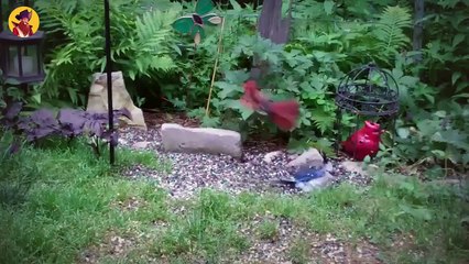 15 Merciless Birds On The FBI's Most Wanted List