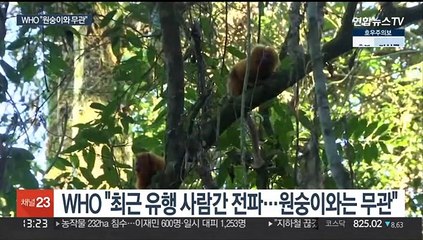 원숭이두창에 원숭이들 '수난'…WHO "원숭이와 무관"
