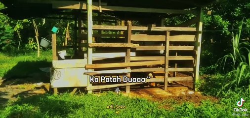 Pujoek labu ie lagu aceh