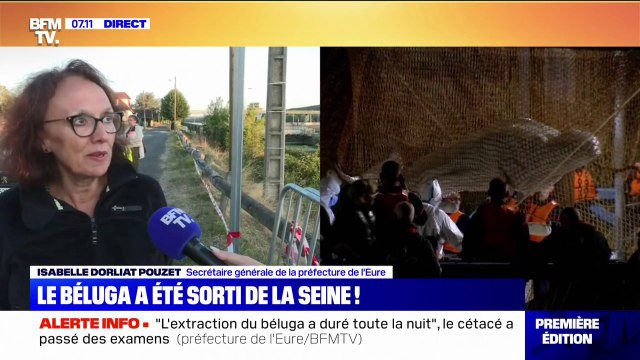 Le béluga est vivant, mais terriblement maigre : la préfecture de l'Eure donne des nouvelles du cétacé égaré