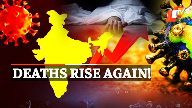 Covid Update August 10: Daily Cases & Deaths Rise Again, Check India And Odisha Tally