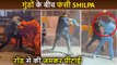 ACTION Scene Live : Shilpa Shetty's Punch, Sidharth Malhotra Fights Gundas, Rohit Shetty Shoots | Indian Police Force