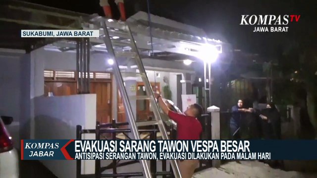 Petugas Damkar Evakuasi Sarang Tawon Vespa