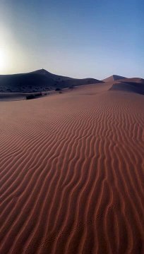 Trending beautiful funny nature clips