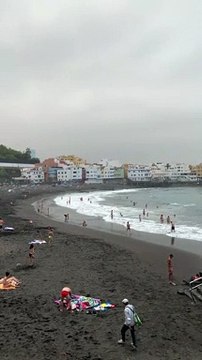 Trending beautiful funny nature clips