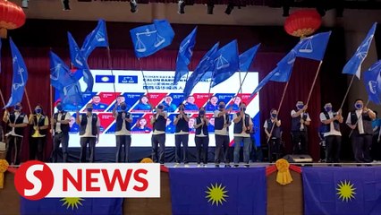 MCA not amending party constitution, says sec-gen