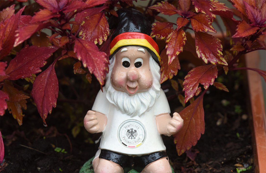 Devon couple puzzled as gnomes mysteriously invade front garden