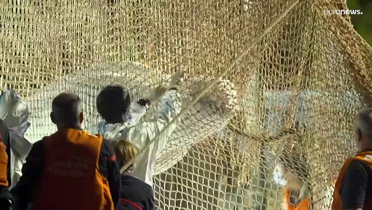 Belugawal aus der Seine beim Transport ans Meer verendet