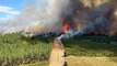 Son dakika haber... Fransa'nın güneybatısında orman yangını: 6 bin hektar alan kül oldu