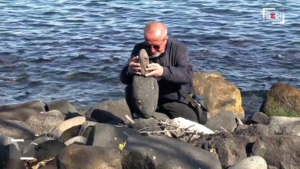 Io, nonno ultrà: porto la pace in curva