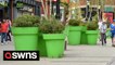 UK council blasted for splashing taxpayers' cash on giant 'Super Mario' green plant pots