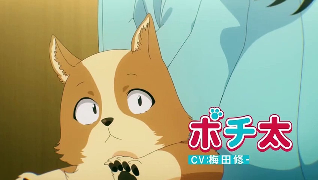 Inu ni Nattara Suki na Hito ni Hirowareta(My Life as Inukai-san's Dog)-Teaser