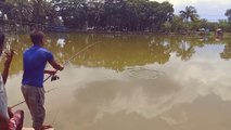 Fishing | Caught a big fish || Fishing Videos