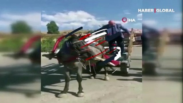 CHP Milletvekili Tanal'ı, arabacı şoke etti! Verdiği yanıtı duyunca at arabasından indi