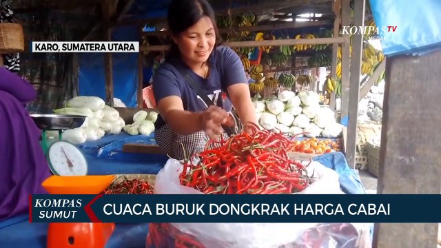 Cuaca Buruk Picu Kenaikan Harga Cabai Merah di Karo