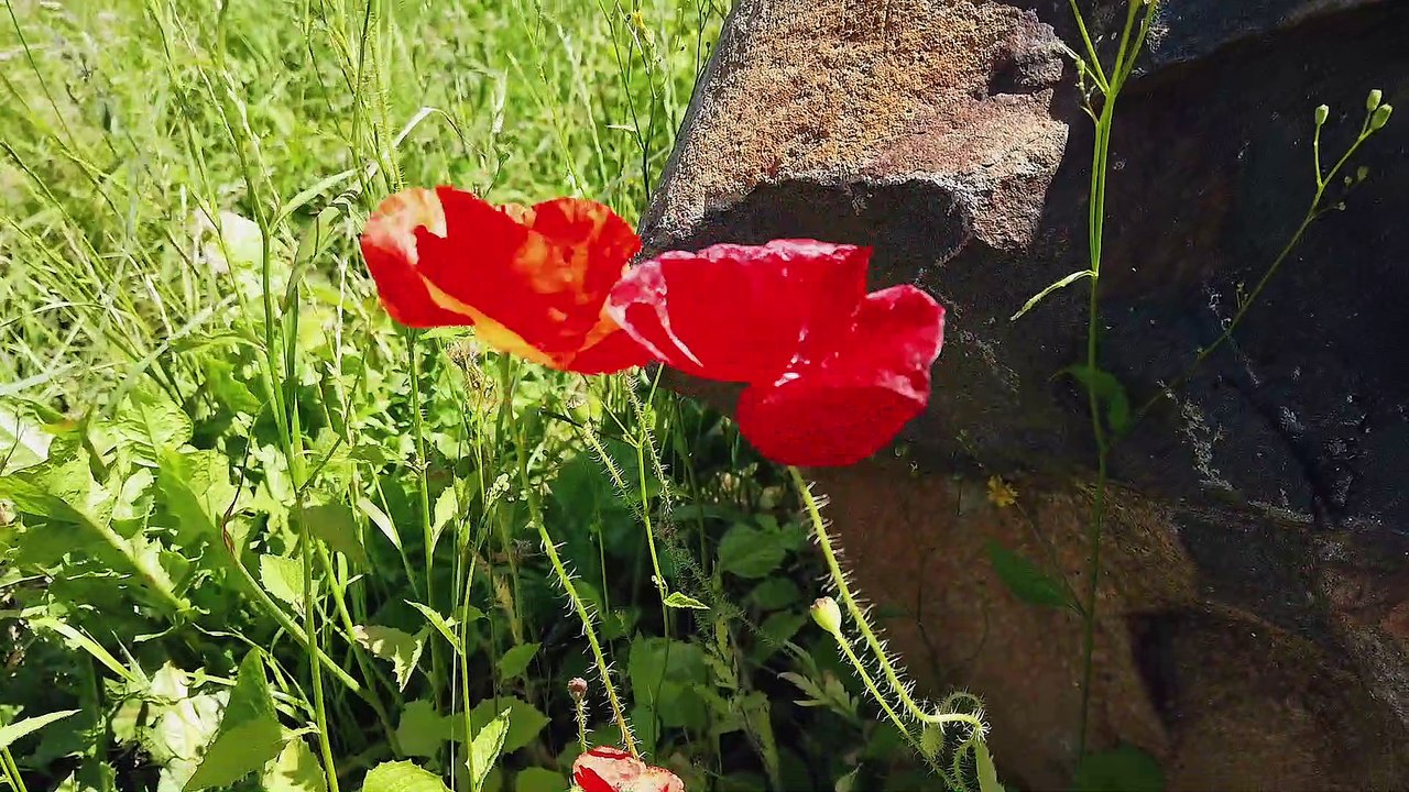 Weshalb sollte ich mich fürchten.......