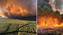 Fransa’da orman yangını: 6 bin hektar alan kül oldu