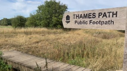 İngiltere'de Thames Nehri'nin kaynağında kuraklık krizi yaşanıyor