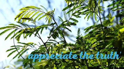 quotes by. abu yusuf al-kindi, 'appreciate the truth'