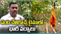 Bitter Gourd Farm Damaged Due To Heavy Rains  _ Mambapur Village _  Sanga Reddy Dist  _ V6 News