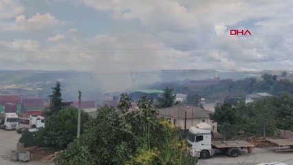 Kocaeli haberi: GEBZE'DE ORMAN YANGINI