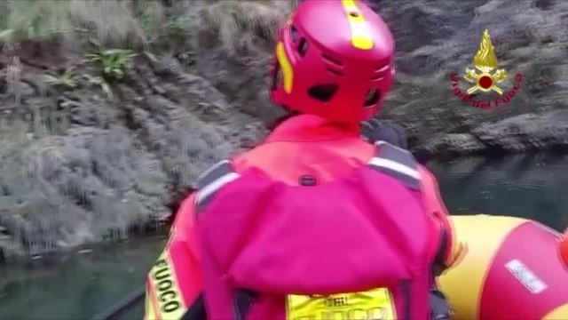 Avventura a lieto fine per un setter inglese, salvato dopo essere caduto in un dirupo