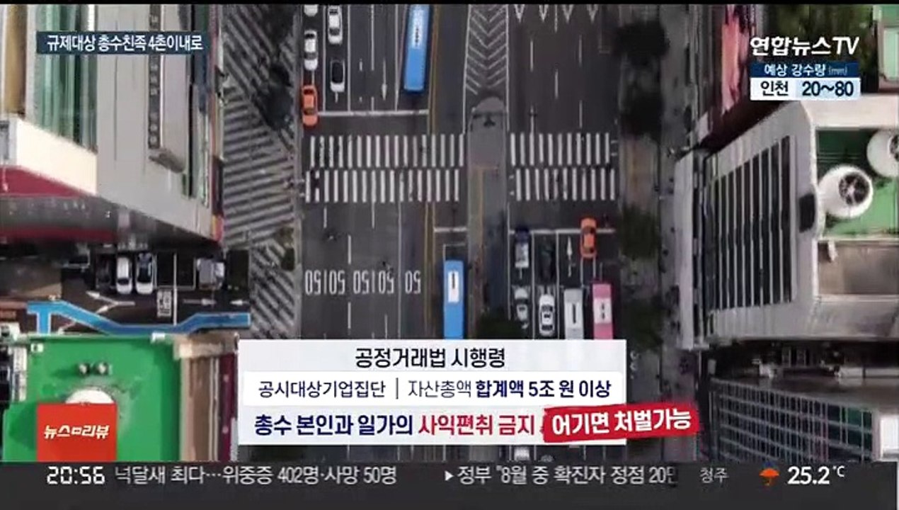 사실혼 배우자도 총수 친족…외국인 총수 지정은 무산