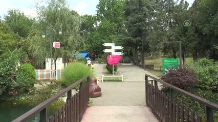 Kuzey Makedonya'da Dünya Aslan Günü