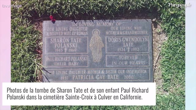 Meurtre de Sharon Tate, enceinte de 8 mois : pourquoi son mari Roman Polanski n'était-il pas avec elle ?