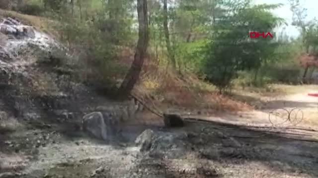 Tokat haberleri | TOKAT'TA ÇIKAN ORMAN YANGINI 1 SAATTE KONTROL ALTINA ALINDI