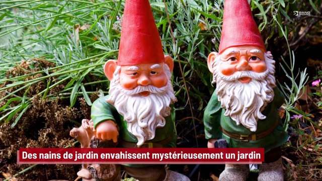 Des nains de jardin envahissent mystérieusement un jardin !