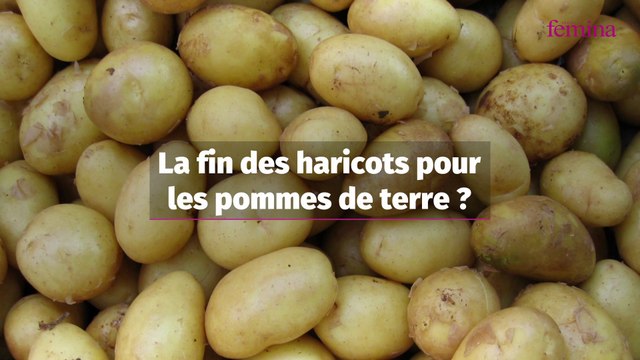 Pénurie : après la moutarde et l’huile de tournesol, le légume préféré des Français est menacé à cause de la sécheresse