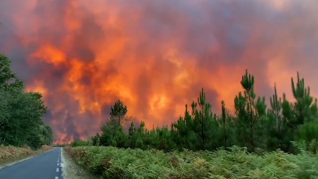 Incendies en France, « une part importante sont criminels »