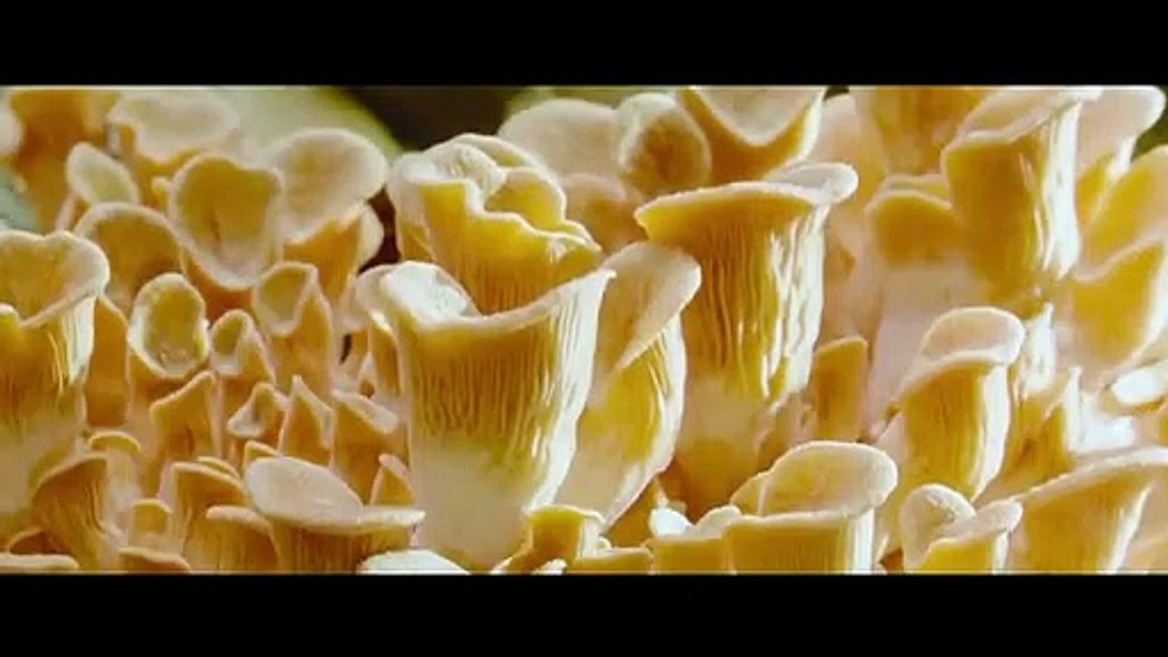 THE MENU Official Trailer 2 (2022)