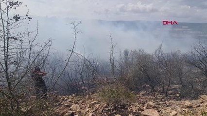 Son dakika haberi... GEBZE'DE ORMAN YANGINI KONTROL ALTINA ALINDI